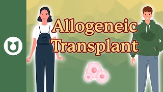 What is an allogeneic transplant? #AML