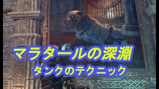 【ESO】マラタールの深淵～タンクのテクニック～【ボスぬこの実況】