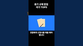 총기 규제 합법 국가 TOP5