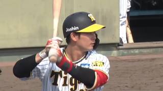 【ファーム】野口恭佑 ヒット集【阪神タイガース】