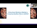 isn kdigo webinar on genomics and genetics in ckd recording