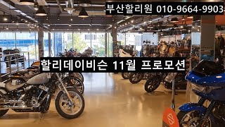 할리데이비슨 부산점 11월 프로모션 / 부산할리원 010-9664-9903 / 11월은 소프테일 타기 좋은날~ / 최대 72개월 무이자 지원!!!