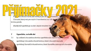 Přijímačky 2021 in a nutshell- PARODIE