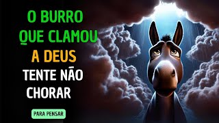 Porque  Passo por esse Sofrimento? O Burro que Clamou a Deus - Reflexão para Vida!