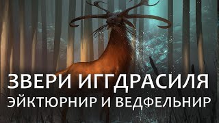 Звери Иггдрасиля – Эйктюрнир и Ведфельнир