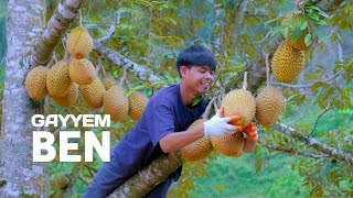 Pick DURIAN, make durian pie and ice cream! |Gayyem Ben