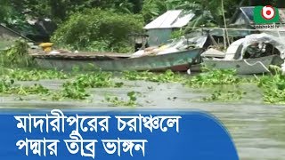 মাদারীপুরের চরাঞ্চলে পদ্মার তীব্র ভাঙ্গন | River Erosion At Madaripur | Latest Bangla Tv News