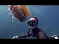 an entire ocean of jellyfish freedive in costa brava highlight