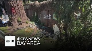 Santa Rosa man killed by falling tree branch during gusty conditions