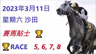 🏆「賽馬貼士」🐴2023年 3 月 11 日💰 星期六  😁 沙田 香港賽馬貼士💪 HONG KONG HORSE RACING TIPS🏆 RACE  5  6  7  8    😁