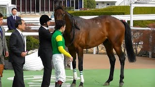 スズカテイオーと福永騎手、新馬戦の口取り式。現地映像、京都競馬場