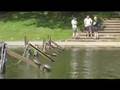 Turtle Recall - Sefton Park Liverpool