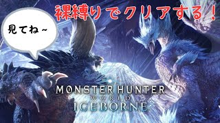 【MHW:IB】防具なしでクリアする