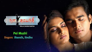 Nala Damayanthi Movie Songs | Pei Muzhi Song | Madhavan | Shruthika Arjun | Ramesh Vinayakam