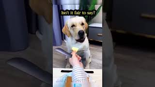Try Not To Laugh Dog Compilation #15 😂 - Funny Dog Videos #Shorts
