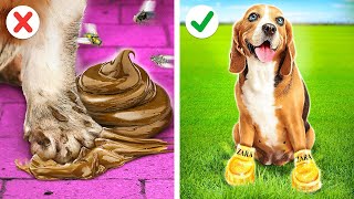 RICH VS POOR PET GADGETS | Help Me Rescue This Cute Puppy! Viral Pet Hacks By 123GO! Zoo