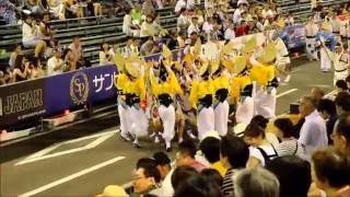 2016阿波踊り 達粋連（市役所前演舞場）