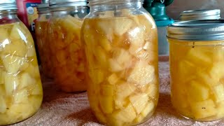 Canning Pineapple Water Bath Only W/ Honey