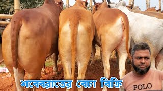 শবেবরাতের বেচা বিক্রি চলছে মাহবুব ভাই ও জয়নাল ভাইয়ের দাপারে ||