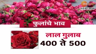 Mumbai Rose Price Hike On Valentine Day 'व्हॅलेंटाईन डे'निमित्त गुलाबाचे भाव वाढले; सध्याचे दर किती?