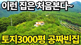 토지3000평+공짜 빈집~ 몸만오세요! 대폭락속 완벽 산속 빈집 등장!  상상을 초월하는 초대형토지~ 나무만 팔아도 이득이다~ 꿈같은 전원주택 땅땅정보통