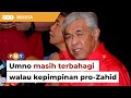 Kepimpinan baharu Umno pro-Zahid, tetapi parti masih terbahagi, kata sumber