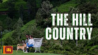 Exploring Sri Lanka's Hill Country : Tea Factories, Waterfalls, and Zipline Adventures !!