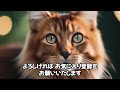 人気の猫 魅力解剖！ソマリを飼うメリット・デメリットベスト5