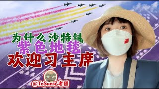 时政Vlog丨为什么沙特铺紫色地毯欢迎习主席？