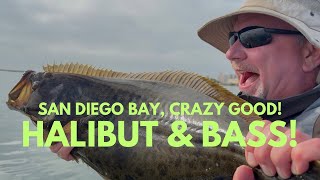 San Diego Bay Crazy Good Fishing! Halibut \u0026 Bass