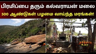 History Of Kalvarayan Hills | 171 சிற்றூர்களின் ஆதாரம் கல்வராயன் மலை - முழு வரலாறு | Tamilnadu Ula