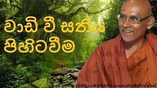 Mindfulness in Sitting | Most Ven Dhammajiva Thero | අතිපූජ්‍ය ධම්මජීව ස්වාමීන්වහන්සේ |@budusiritha