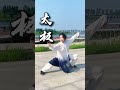 教你一套絲滑的太極小連招 有技巧哦 武術 太極拳 太極