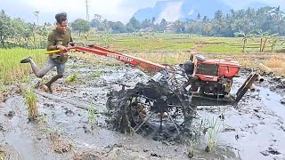 Kerja ngebut...!!!Joki muda proses nyingkal di lahan galengan tinggi.