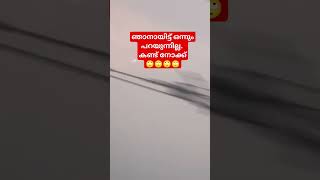 ഞാനായിട്ട് ഒന്നും പറയുന്നില്ല. കണ്ട് നോക്ക്🙄🙄🙄🙄