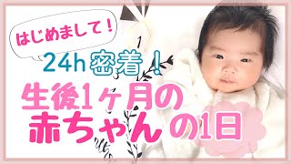 【24h 密着！】生後1ヶ月の赤ちゃんの1日ってどんな感じ？〜男の子ベビーのとある1日〜