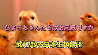 【ゆっくり解説\u0026紹介】SCP-1407-JP:遠回りせよ雛:Euclid｜要注意団体「日本生類創研」【SCP財団】