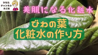 「びわの葉」化粧水の作り方