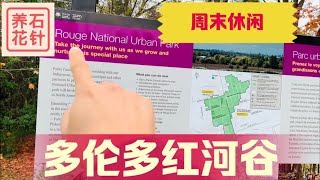 多伦多周末一小时游 - 红河国家城市公园 - Rouge National Urban Park