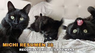 MICHI RESUMEN 38. Recopilatorio de la semana