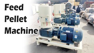 Feed Pellet Machine Increase Your Livestock Feed Production! | Feed Pellets Mill in Action