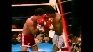 Wilfredo Gomez vs Lupe Pintor : Highlights of the fight