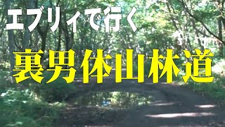 裏男体山林道・太郎山登山口・梵字飯場跡駐車場＠栃木県日光市