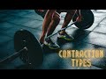 Muscular Contraction Types: Concentric vs. Eccentric vs. Isometric