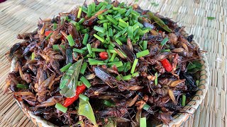 How to fry Crickets with natural recipe 46 | Sinan TV