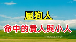 【十二生肖】屬狗人：命中的貴人與小人！