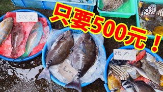 【瘋買土魠魚】宜蘭大溪漁港新鮮便宜的漁獲 你能認出這些魚嗎？