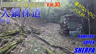 ふらっと林道探索Vol.30 大鍋林道・伊豆 2023.11.19【モトブログ／スーパーシェルパ】