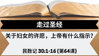 关于妇女的许愿，上帝有什么指示？| 民数记 30:1-16 | 第64课