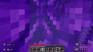 【マイクラ】ネザーは本当に怖い場所